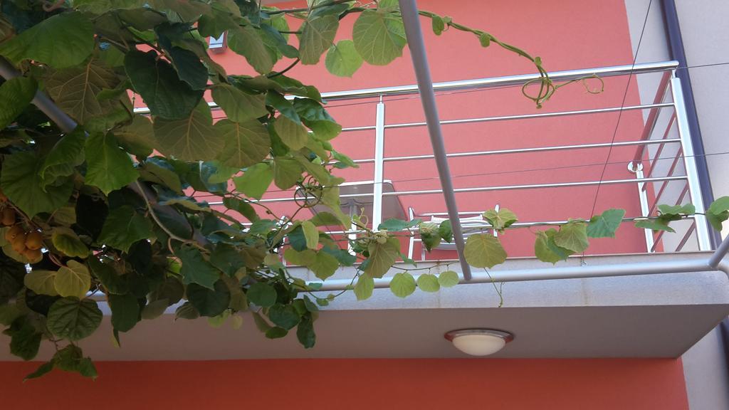 Pansion Polonia Medjugorje Hotel Luaran gambar